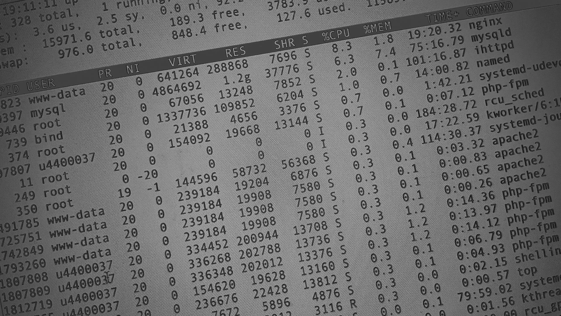 Настройка сервера в Свирске