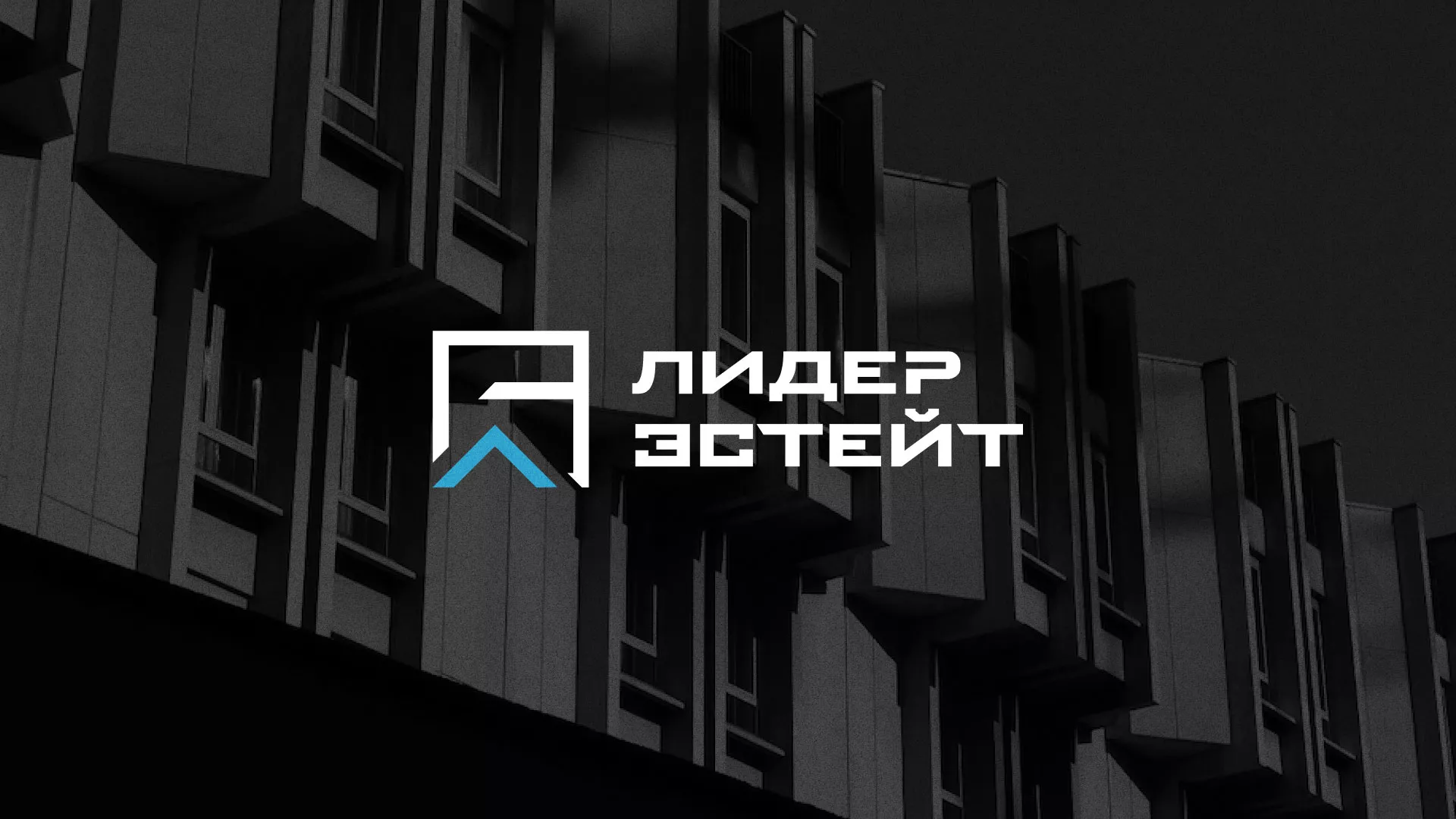 Разработка логотипа агентства недвижимости «Лидер Эстейт» в Свирске